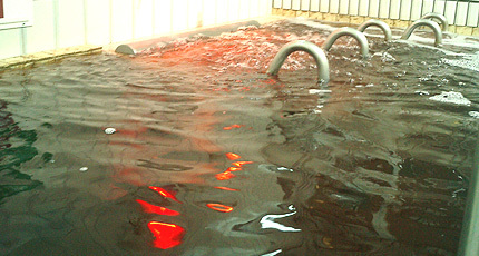 第二日の出湯４