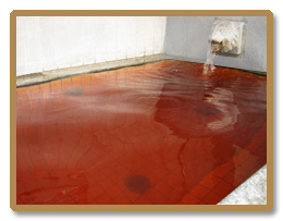 湯ーとぴあダイゴ３