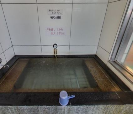 サンフラワー４