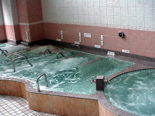 ゆパウザひばり４