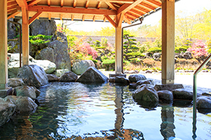 山中湖温泉紅富士の湯２