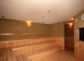 コロナの湯 豊川店２