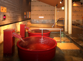 コロナの湯 豊川店３