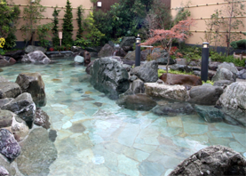 コロナの湯 豊川店４