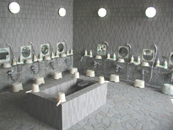 魚沼市見晴らしの湯こまみ2