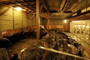 百観音温泉 東鷲宮３