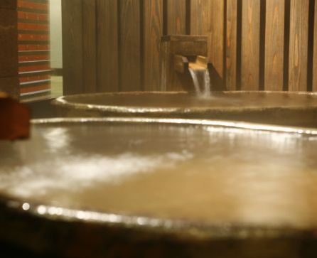 さがの温泉 天山の湯４