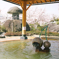 ゆ〜チェリー２