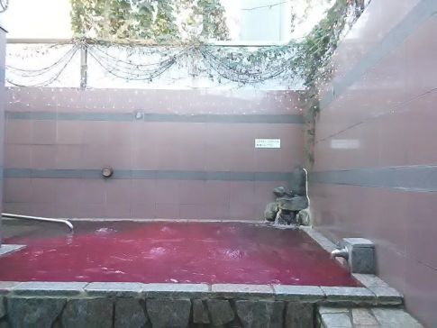 お湯どころ野川３