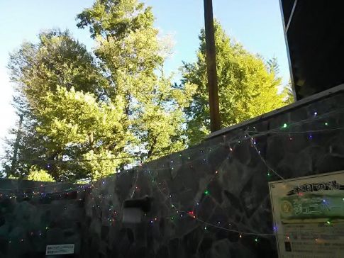 お湯どころ野川４