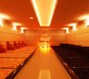 ＳＰＡ＆ＨＯＴＥＬ水春 松井山手3