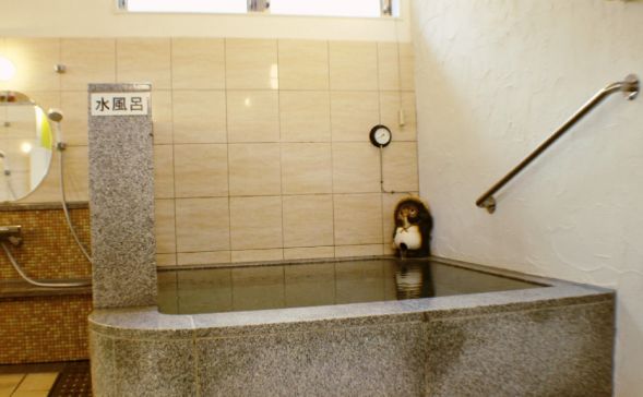 かいせい乃湯３