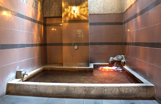 アクアドルフィンランド２