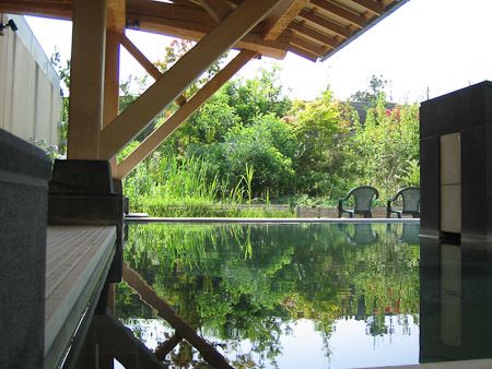 秋葉温泉 花水3