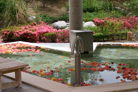 秋葉温泉 花水4