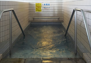 観音さくらの里３