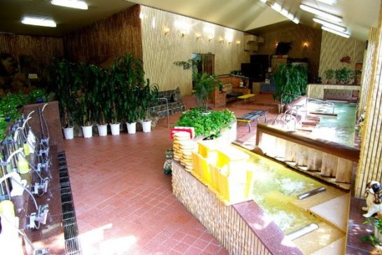 バーデンハウス三丘１