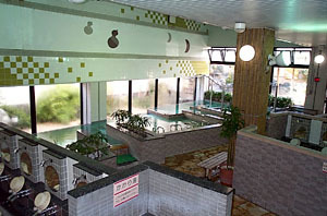 越谷天然温泉美人の湯 ゆの華３