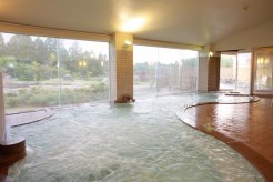 八尾ゆめの森ゆうゆう館２