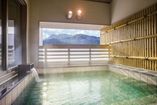 足柄浪漫館 あしがら湯１