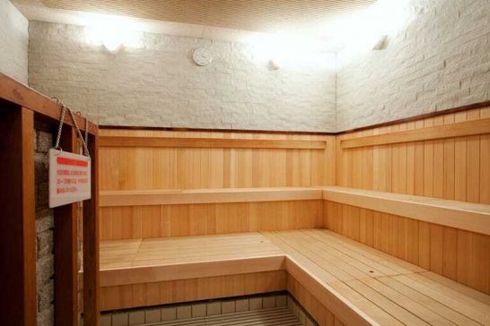 ルネサンス石神井公園241