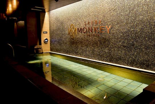 SAUNA MONKEY4