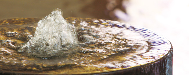 美肌の湯 ロマネット4