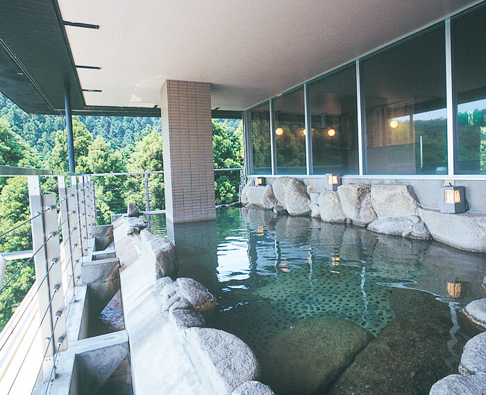 スチームサウナ 3L スチームサウナ 3L